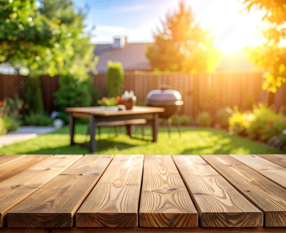 backyardBBQPOV2.JPG