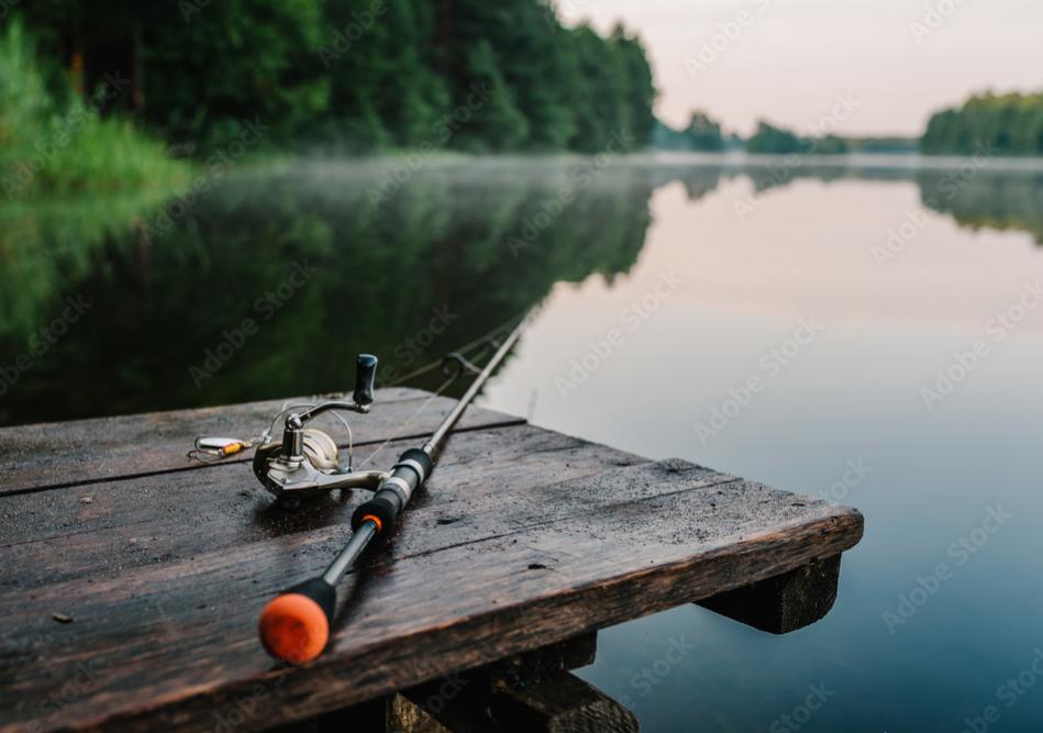 fish2.JPG