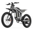 COSWELL R19 Electric Dirt Bike