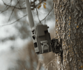 Camera mount
