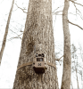 Moultrie Cell Camera Edge 3 - 2 PACK