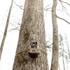 Moultrie Cell Camera Edge 3