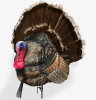 Wiley Tom 3D Decoy - Full Strutting