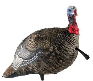 Avian-X LCD Quarter-Strut Jake Turkey Decoy