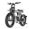 COSWELL CT20S E-bike Equipped with super motor 1500W