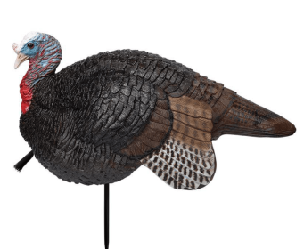 Primos Lil Gobstopper Jake Turkey Decoy