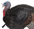 Primos Lil Gobstopper Jake Turkey Decoy