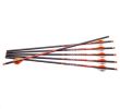 Ravin R500 Series Arrows .003 6 PK