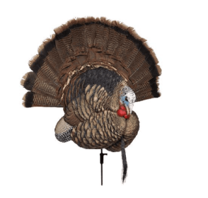 AVIAN X TROPHY TOM