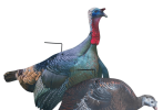 Higdon Flex Turkey Decoy Combo Tom and Hen Silhouette