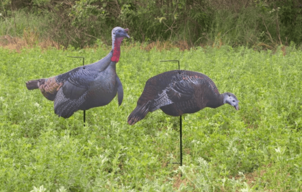 Higdon Flex Turkey Decoy Combo Tom and Hen Silhouette