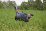 Higdon Flex Turkey Decoy Upright Tom Silhouette