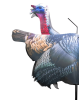 Higdon Flex Turkey Decoy Upright Tom Silhouette