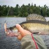 Outdoor Fishing Floating Soft Bait 8cm-5g Bionic False Lure