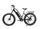X-Treme Boulderado 48 Volt 17 Amp Fat Tire Step-Through Electric Mountain Bicycle