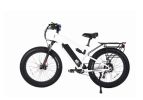 X-Treme Rocky Road 48 Volt 17 Amp Fat Tire Electric Mountain Bicycle